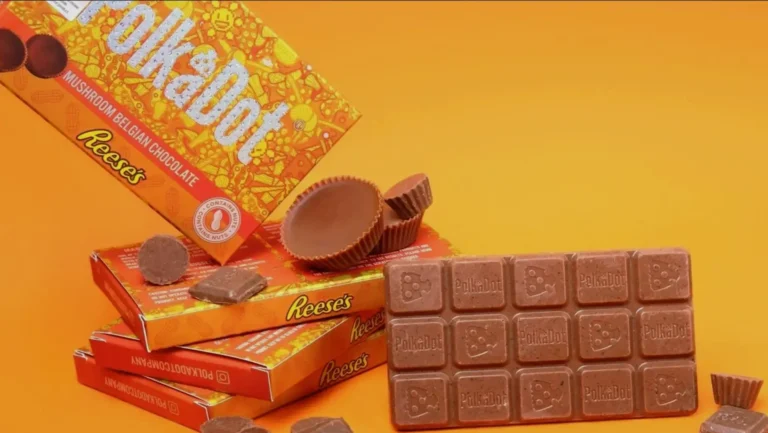 What Is Functional Mushroom Chocolate?