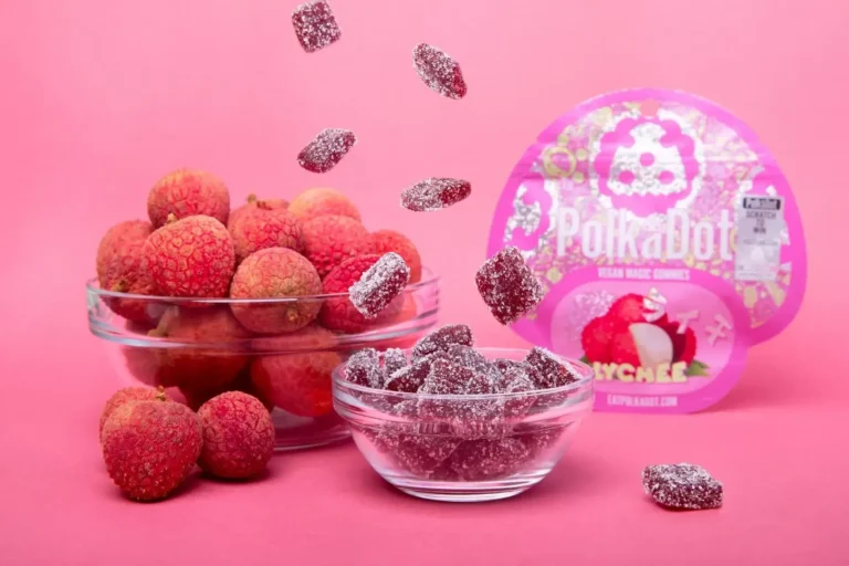 Polkadot Premium Mushroom Gummies