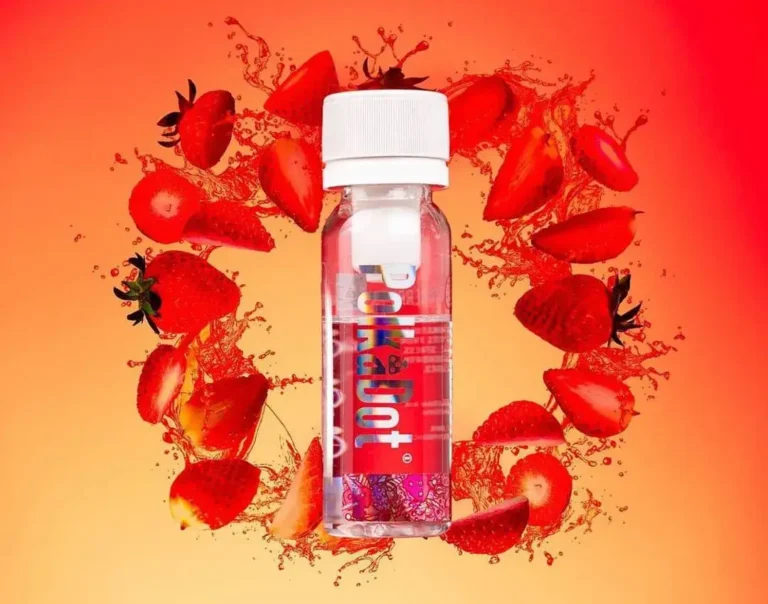 official polkadot website